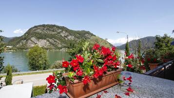 Lake view