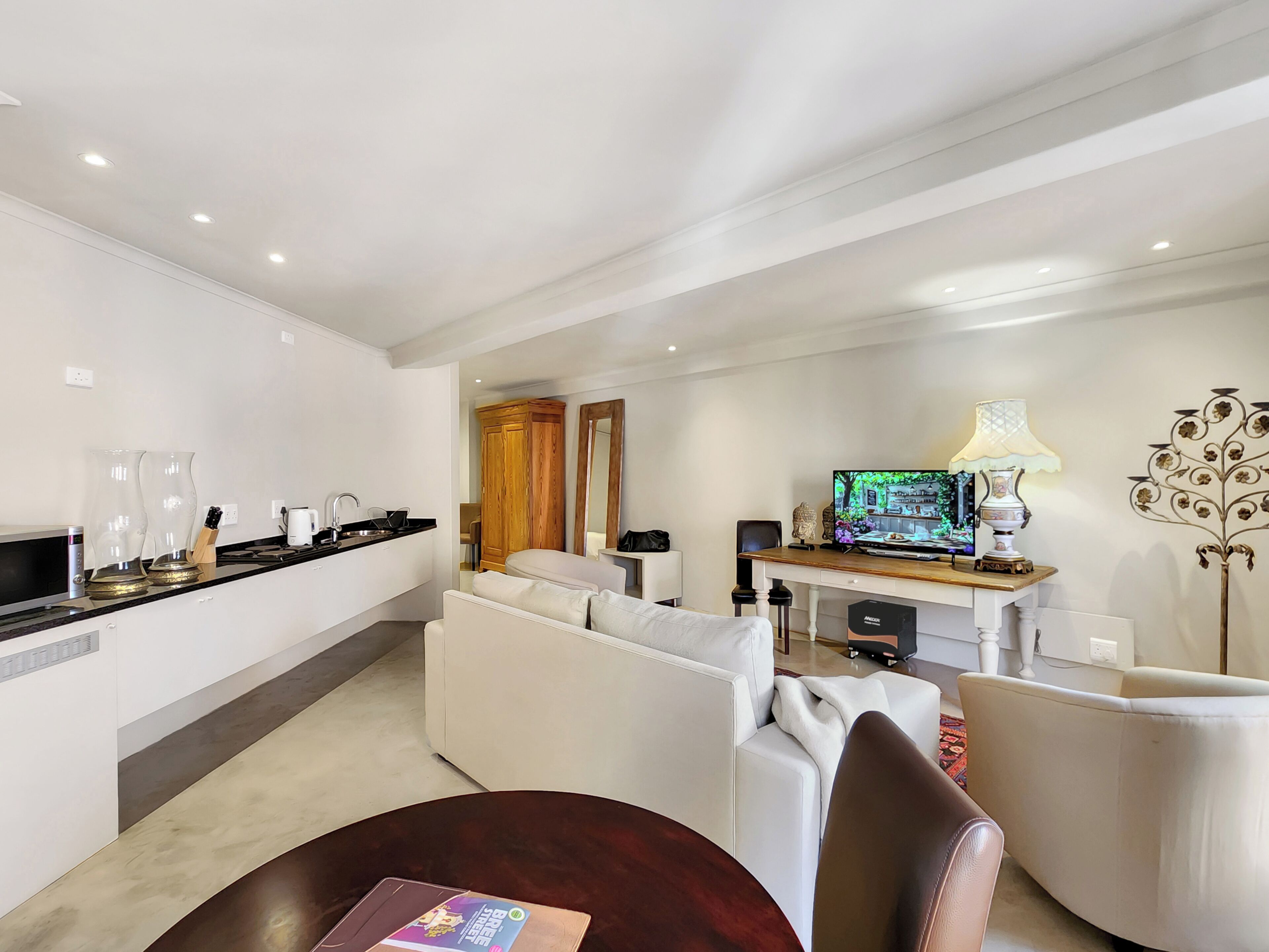 Deluxe Suite 101 / Kitchenette & Sleeper | リビング エリア | テレビ