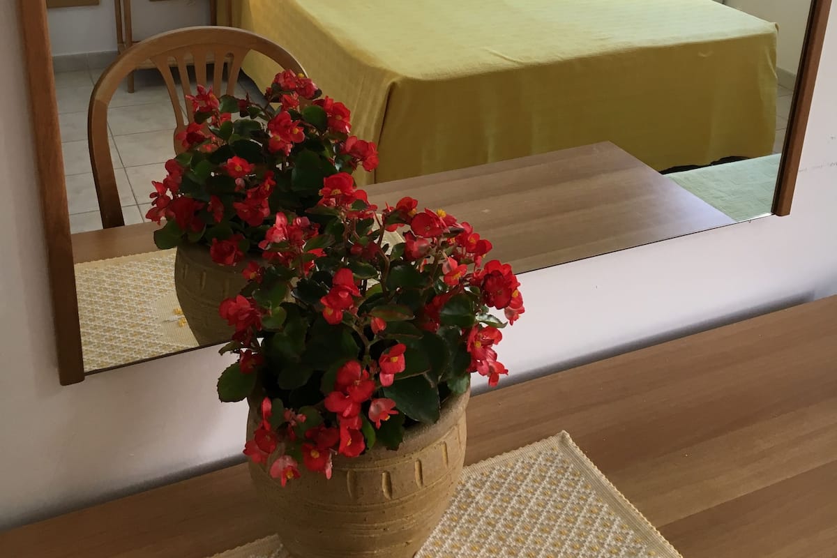 Standard Double or Twin Room, 1 Queen Bed, Ensuite | Minibar, in-room safe, desk, cribs (free)