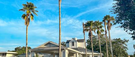 A hotel with a covered outdoor area, palm trees, and a parking lot.