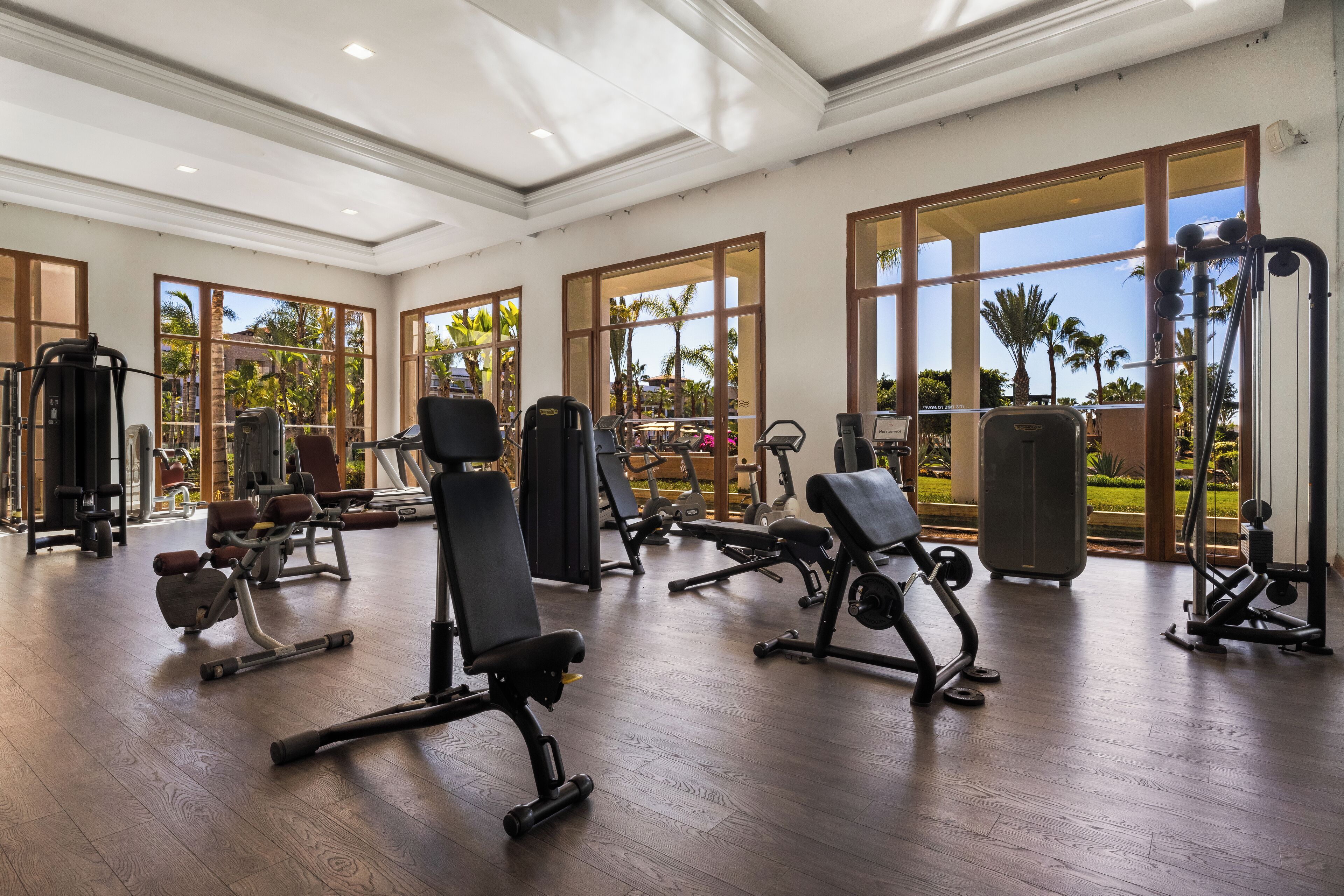 A spacious gym with various exercise equipment, large windows, and a view of palm trees.