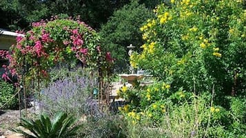 Jardin
