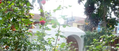 Jardín