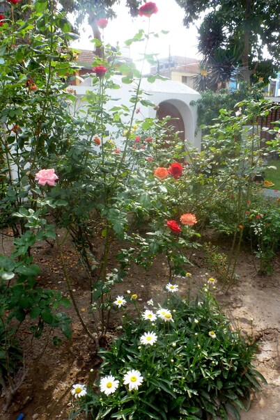LYNIK La Casa de Blanca
