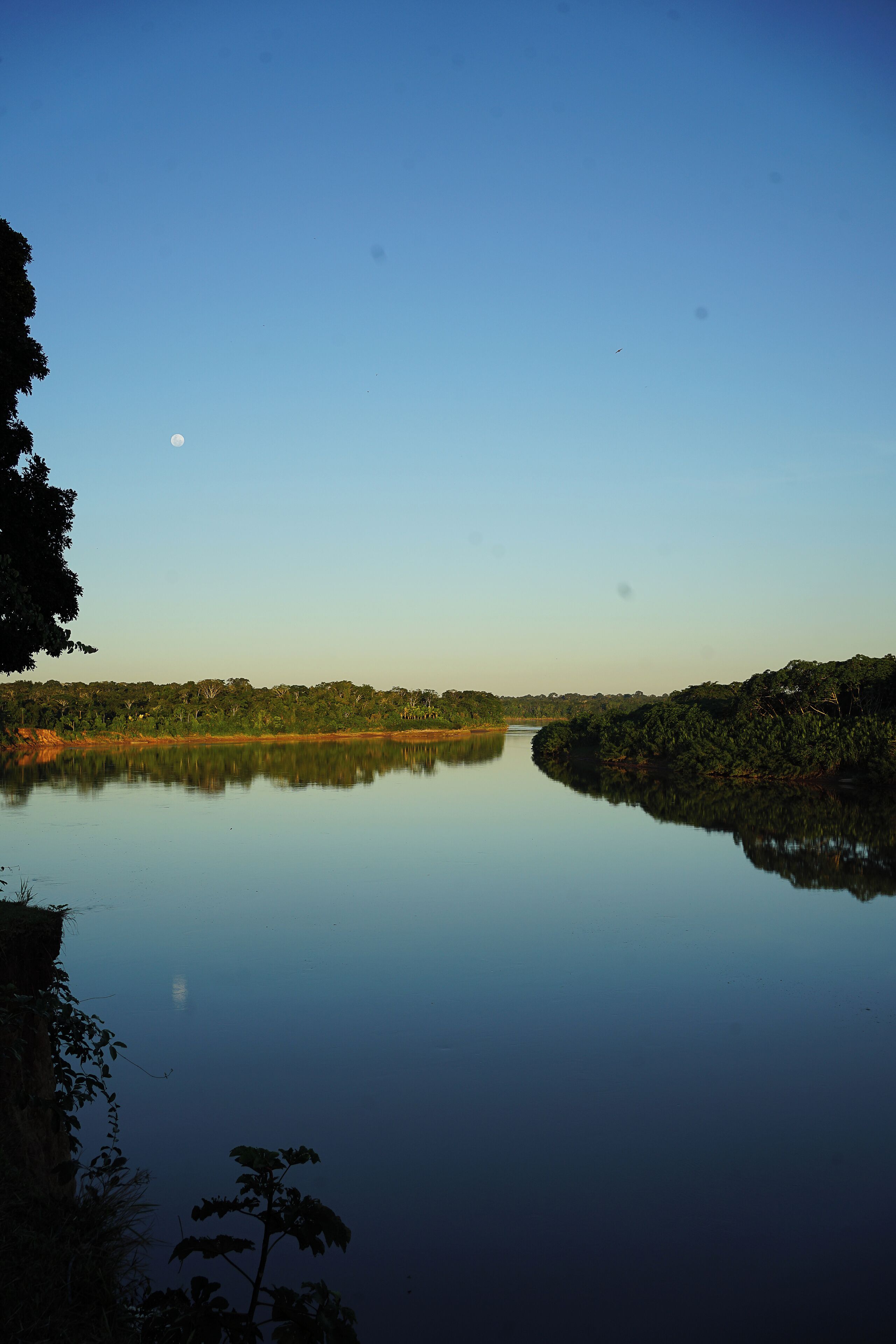 A calm river reflecting the surrounding trees and a clear sky.