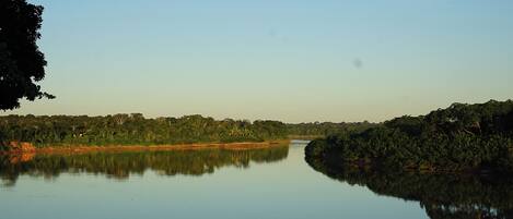 A calm river reflecting the surrounding trees and a clear sky.
