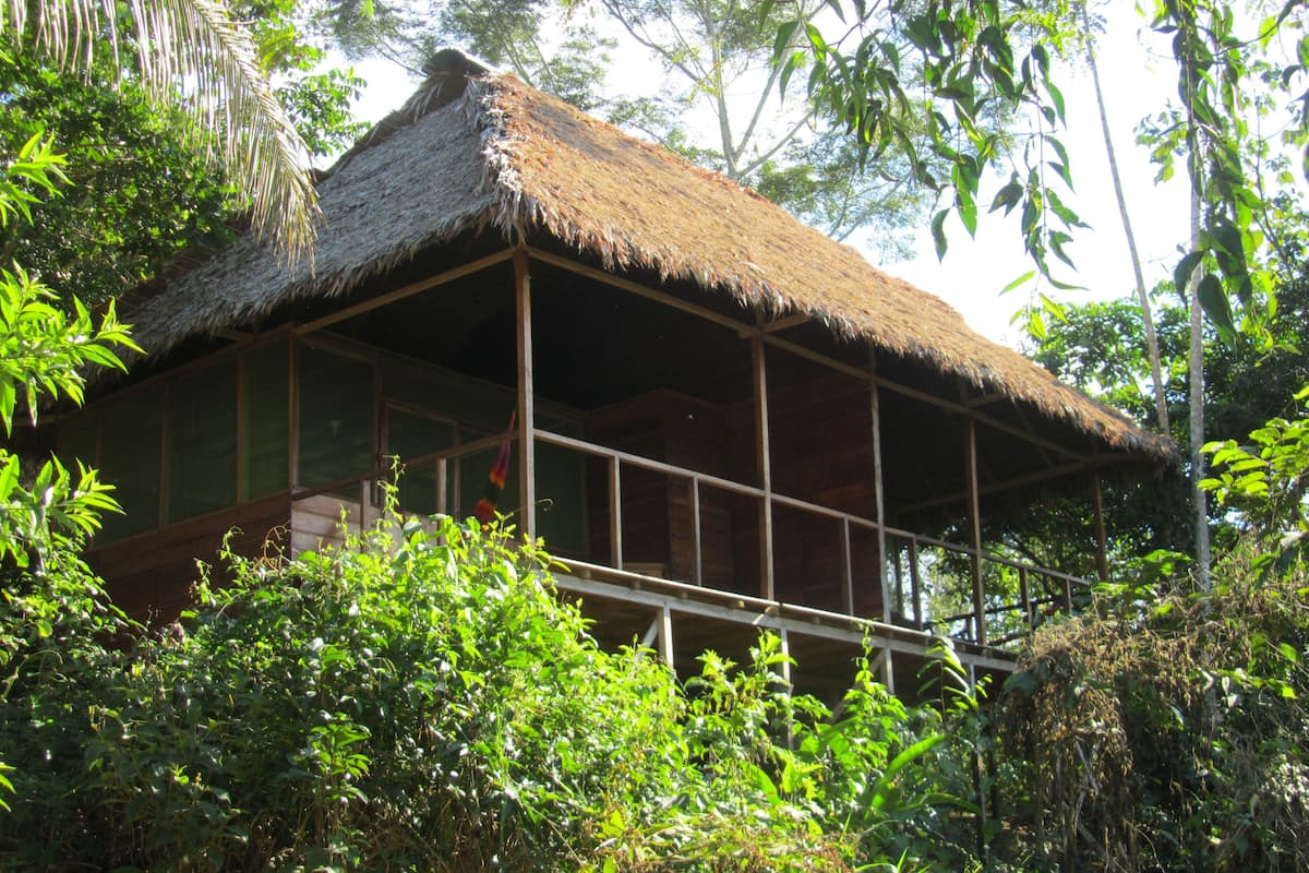 A thatched-roof building surrounded by dense foliage.