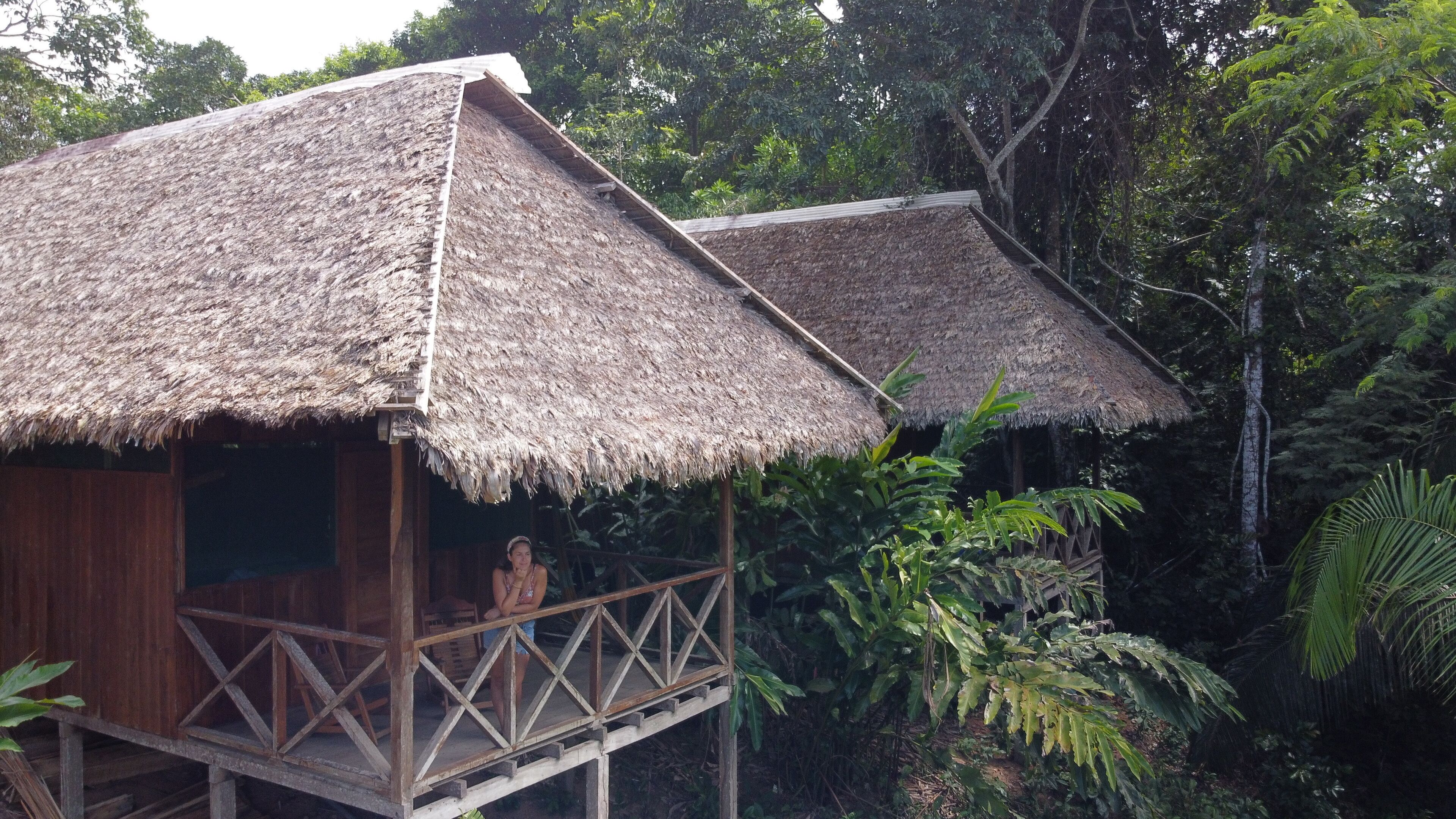 A thatched-roof hut with a wooden balcony, surrounded by dense tropical foliage.