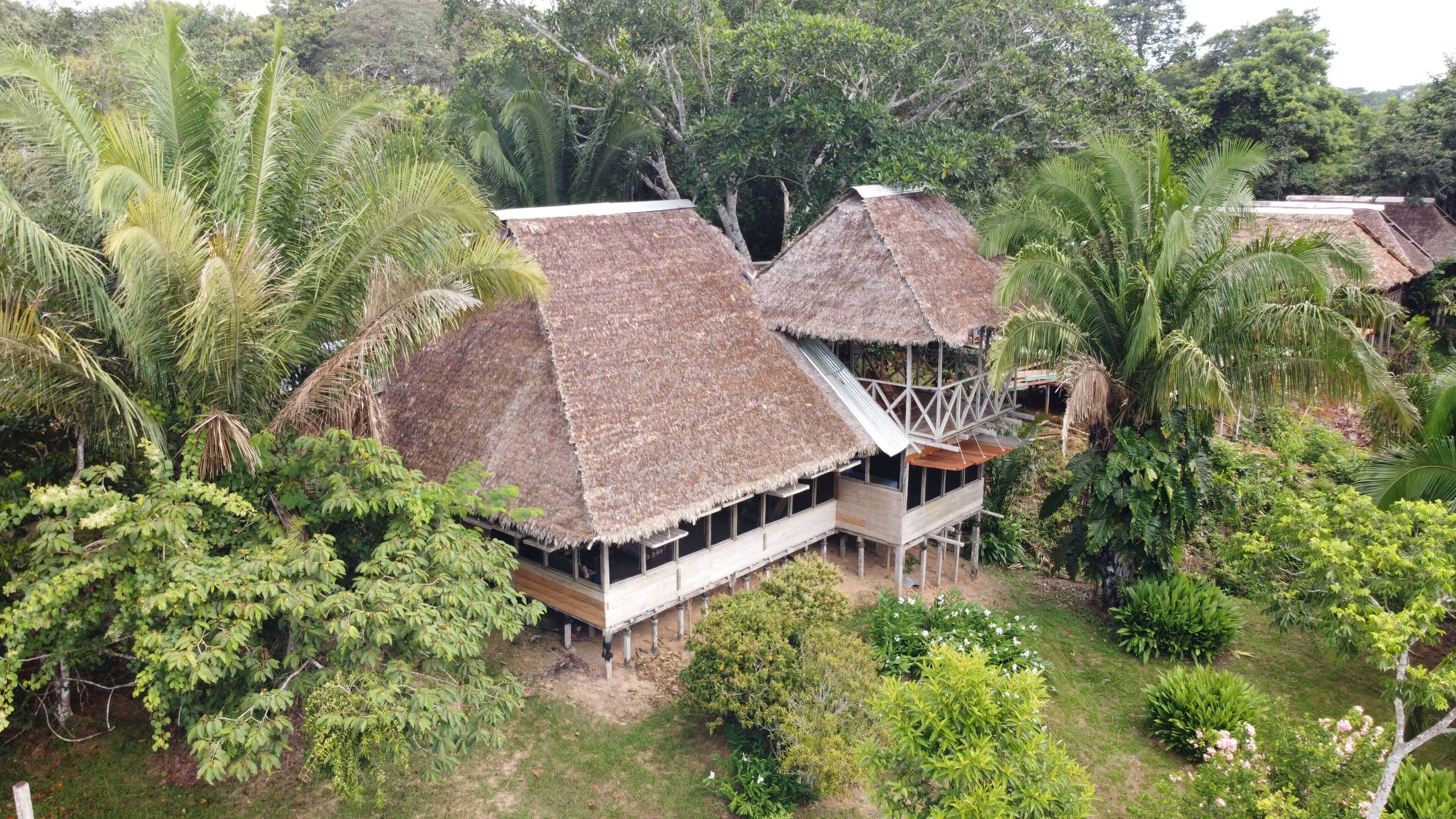 A thatched-roof structure with a wooden deck and a small balcony, surrounded by dense tropical vegetation.