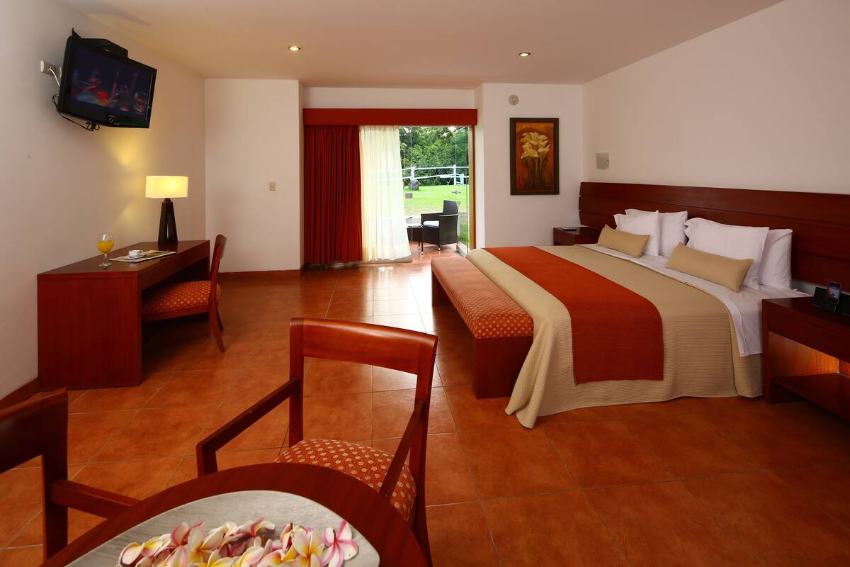 A hotel room with a bed, bedside table, TV, desk with chair, and a view of the outdoors.