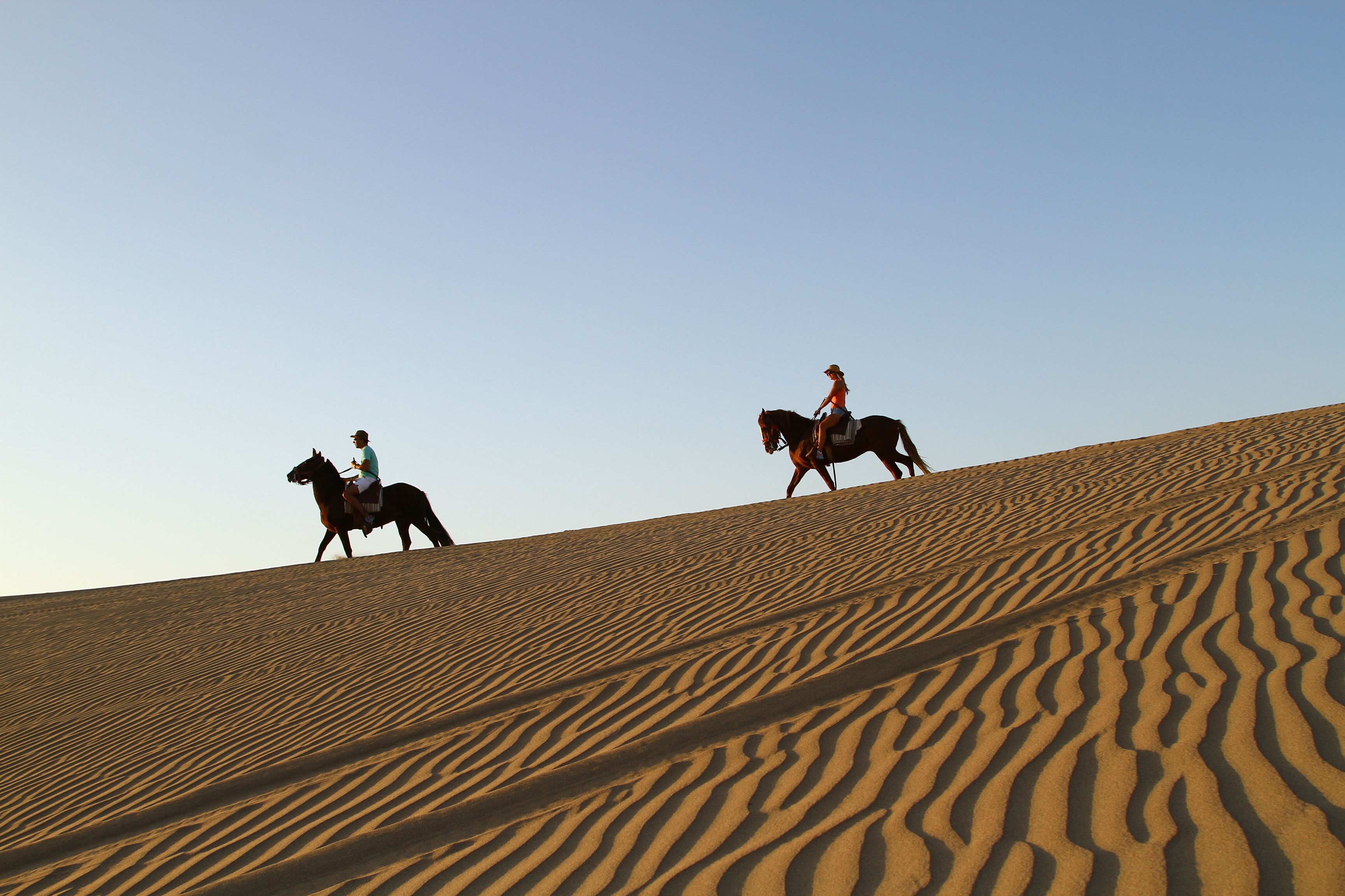 مرفق اللياقة البدنية