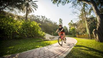 Una persona pedalea en bicicleta sobre un camino de ladrillos, rodeada de follaje y árboles.