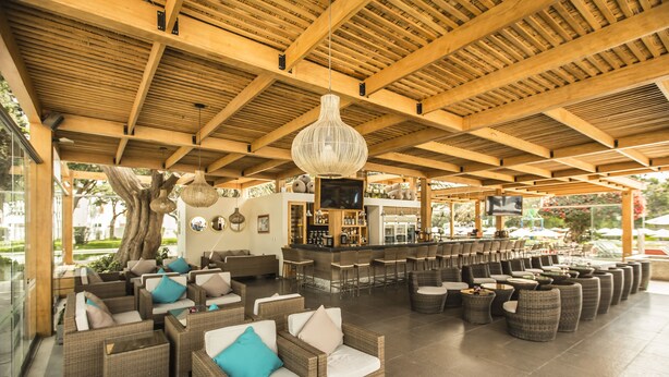 A spacious outdoor lounge area with wicker furniture, a bar, and a large tree providing shade. - Hotel Las Dunas (Ica)