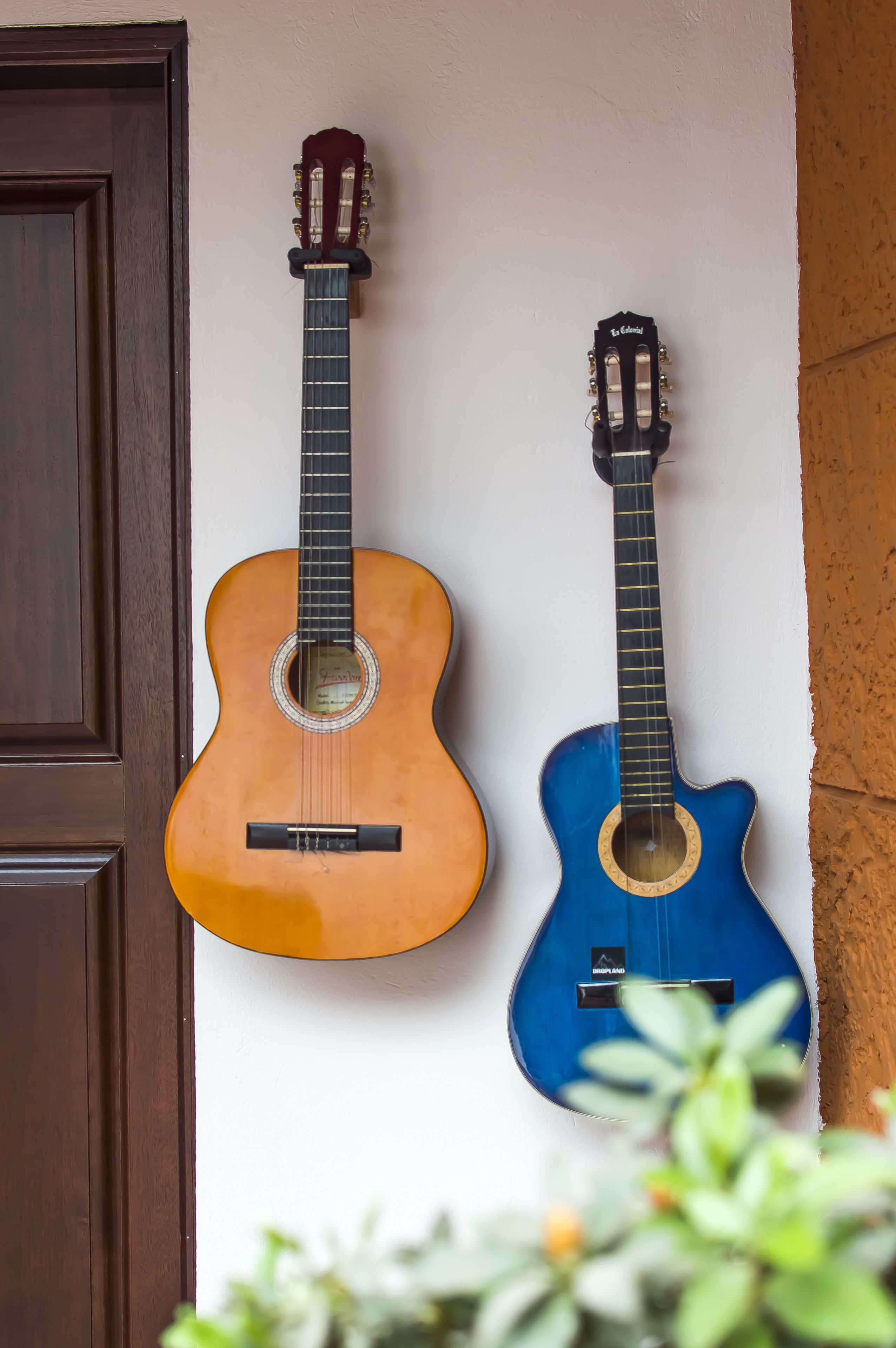 Photo - Masaya Bogotá