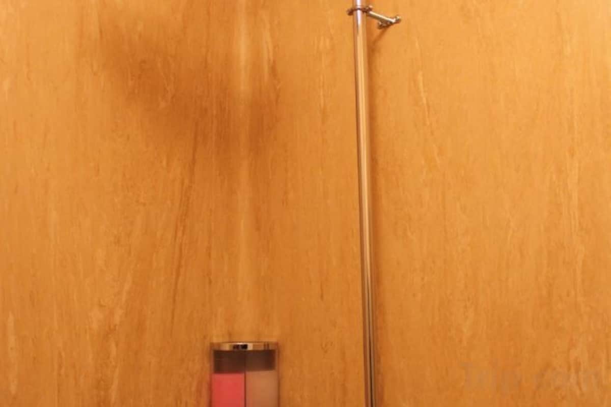 手持ち式のシャワーヘッド