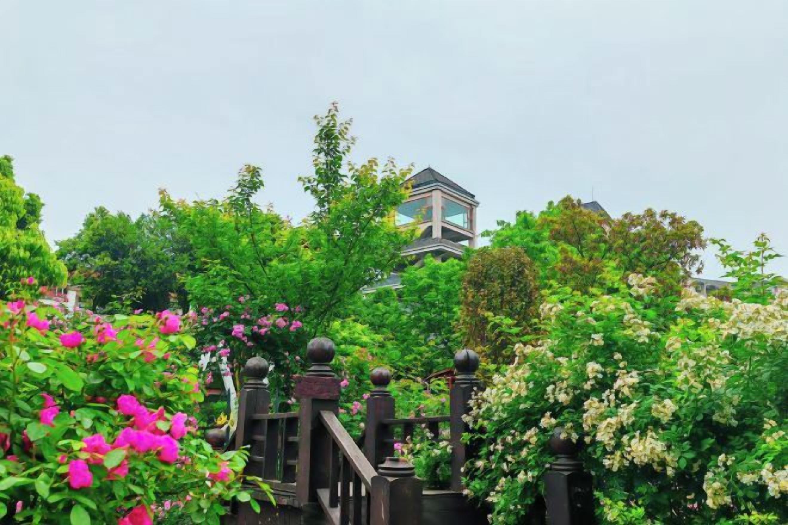 Um jardim com portão de madeira, vegetação exuberante e um edifício ao fundo.