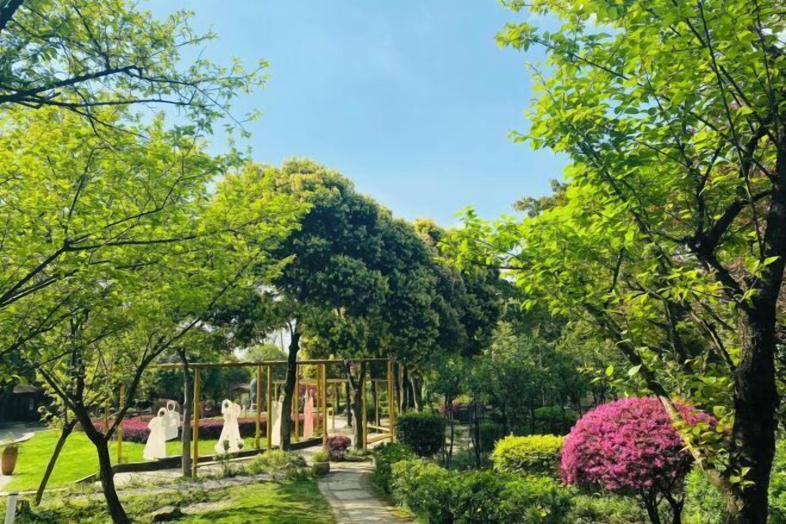 Bureau, lits pliants/supplémentaires