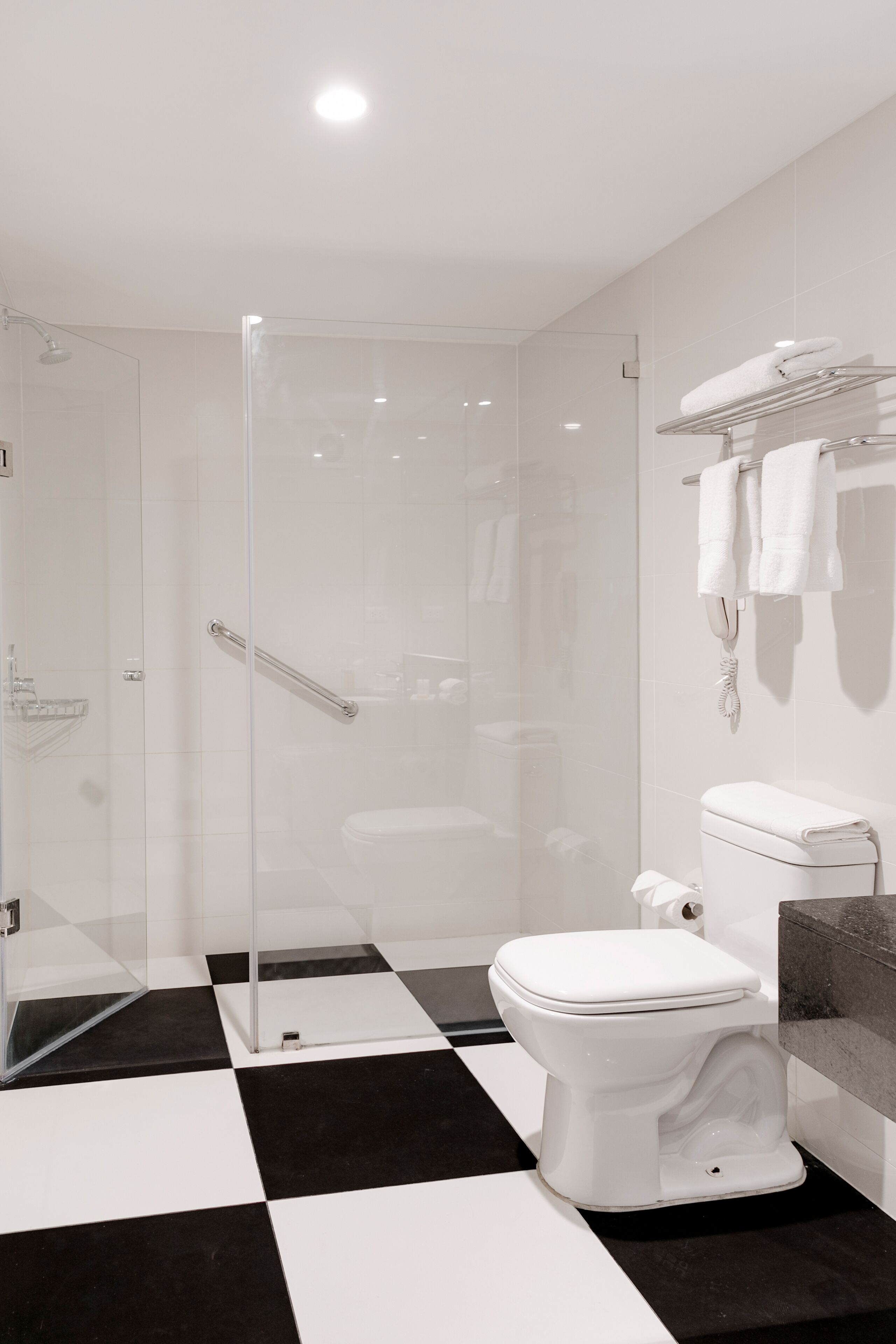 Une salle de bain moderne avec une douche à parois de verre, des toilettes et un porte-serviettes.