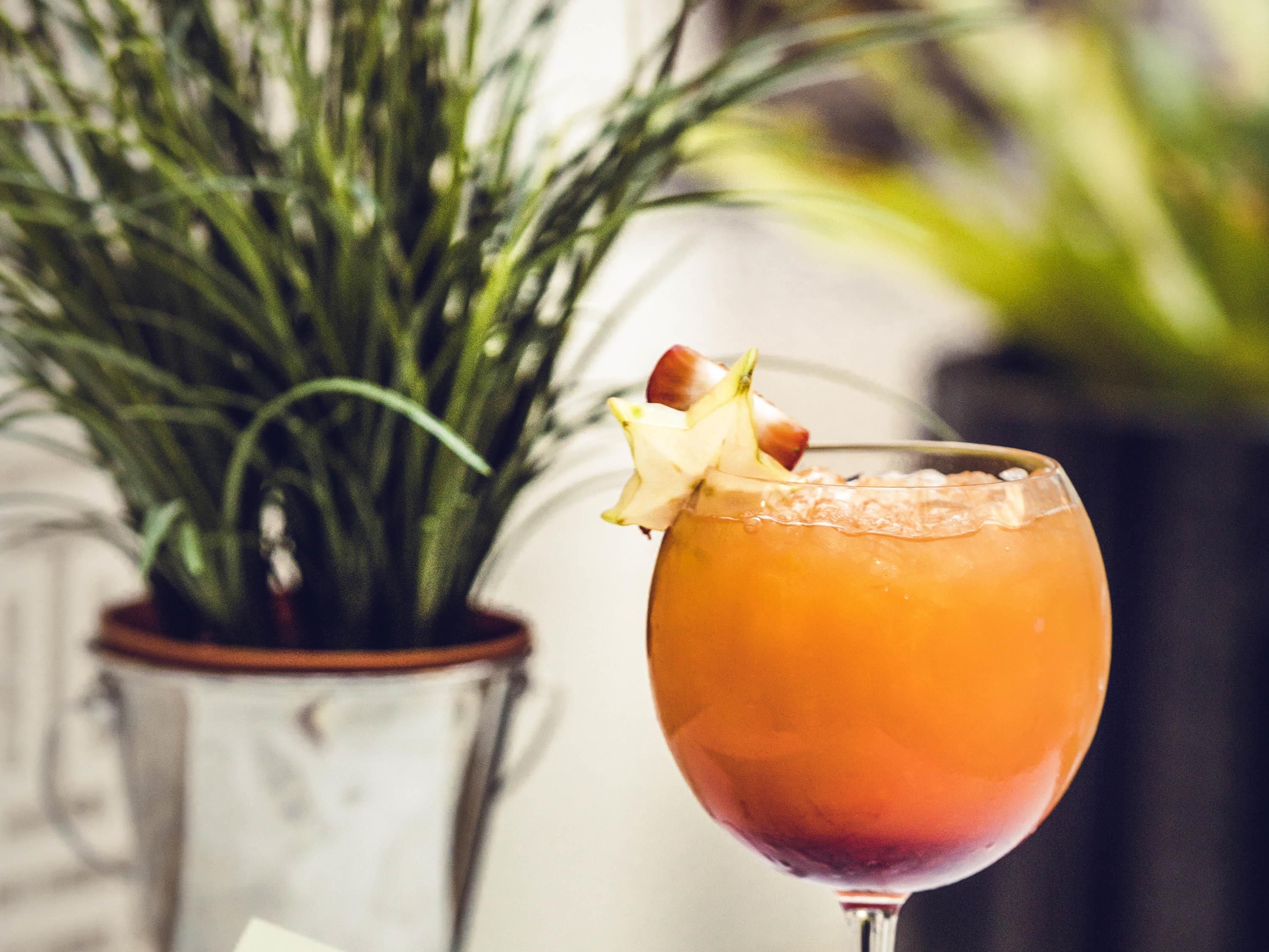 A cocktail in a glass with a garnish, set against a background with a potted plant.