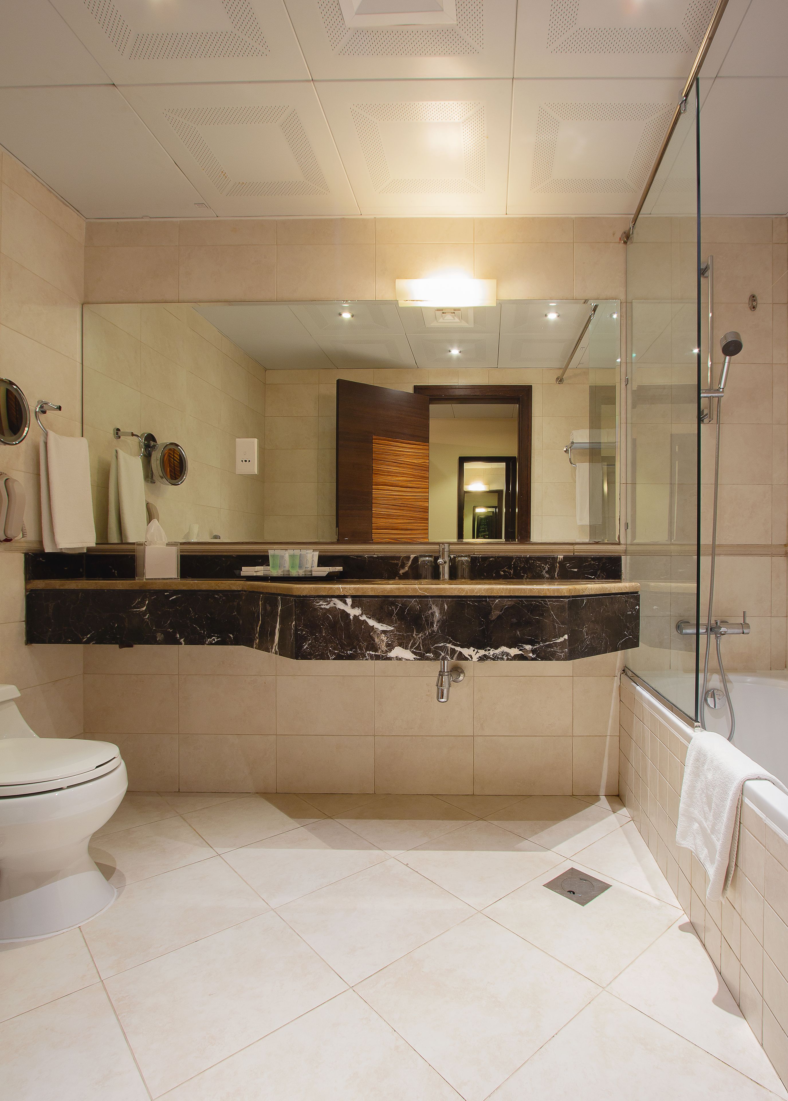 A modern bathroom with a marble vanity, a glass shower enclosure, and a toilet.