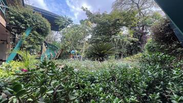 Chambre Exécutive | Vue depuis le balcon