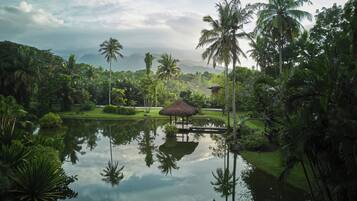 Équipement de l’hébergement