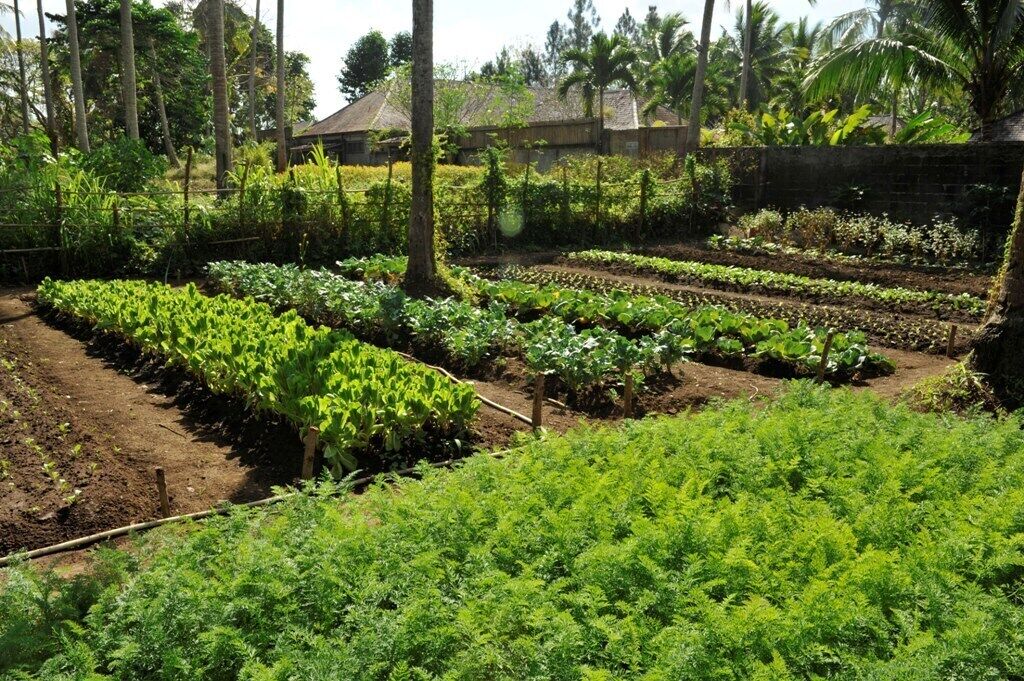 children’s activities