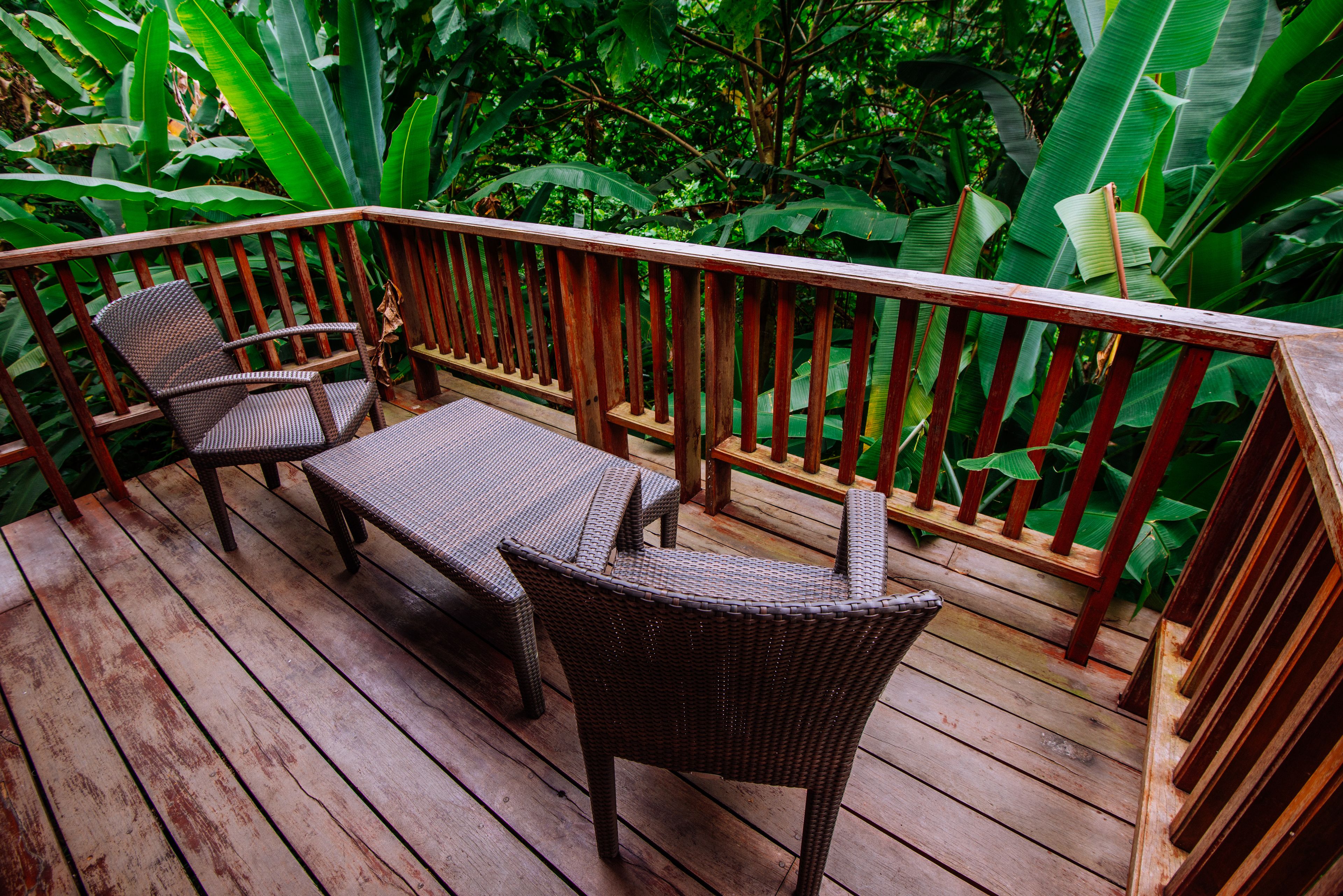 anahaw family villa | view from room