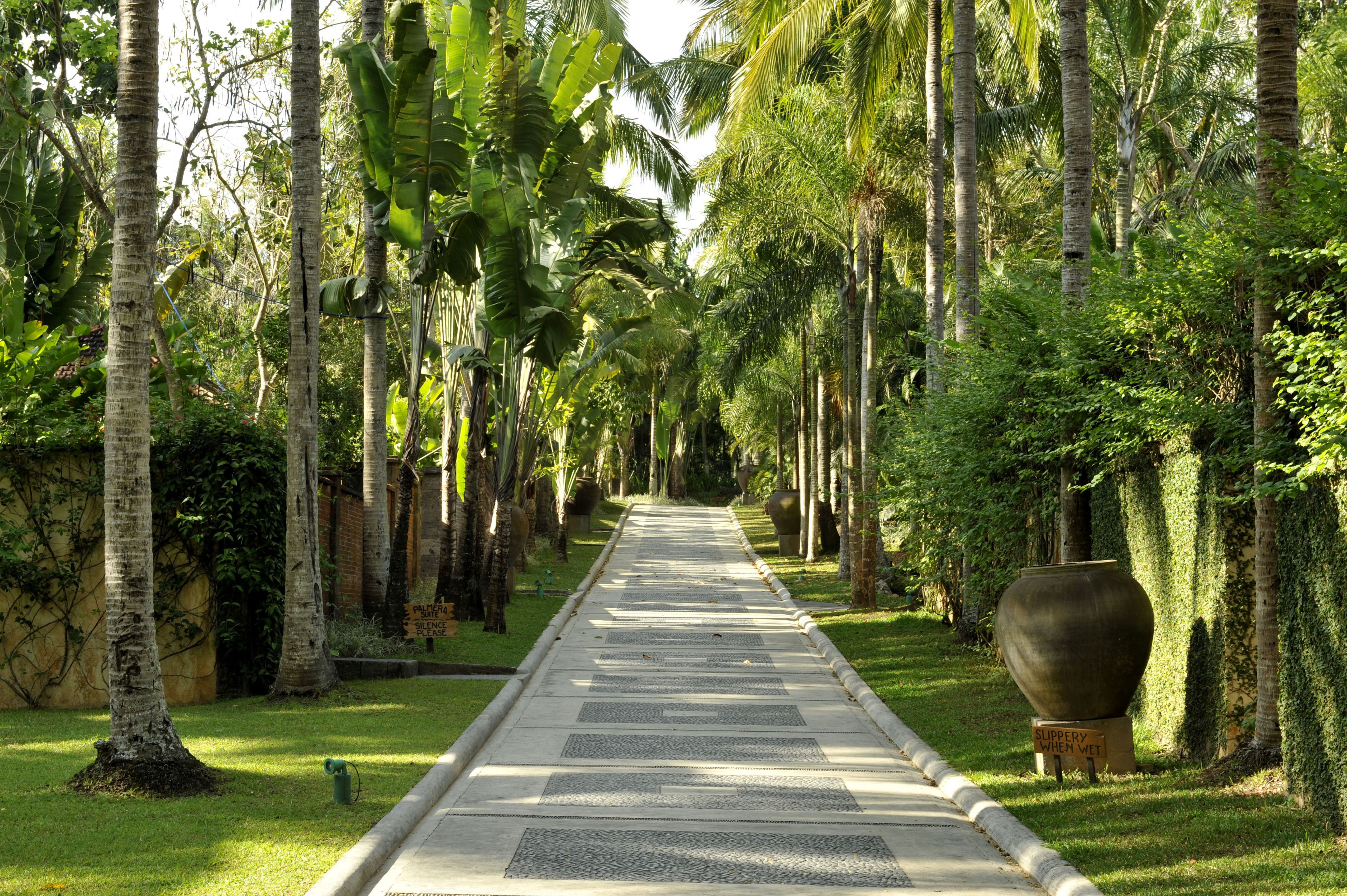 palmera suite | street view