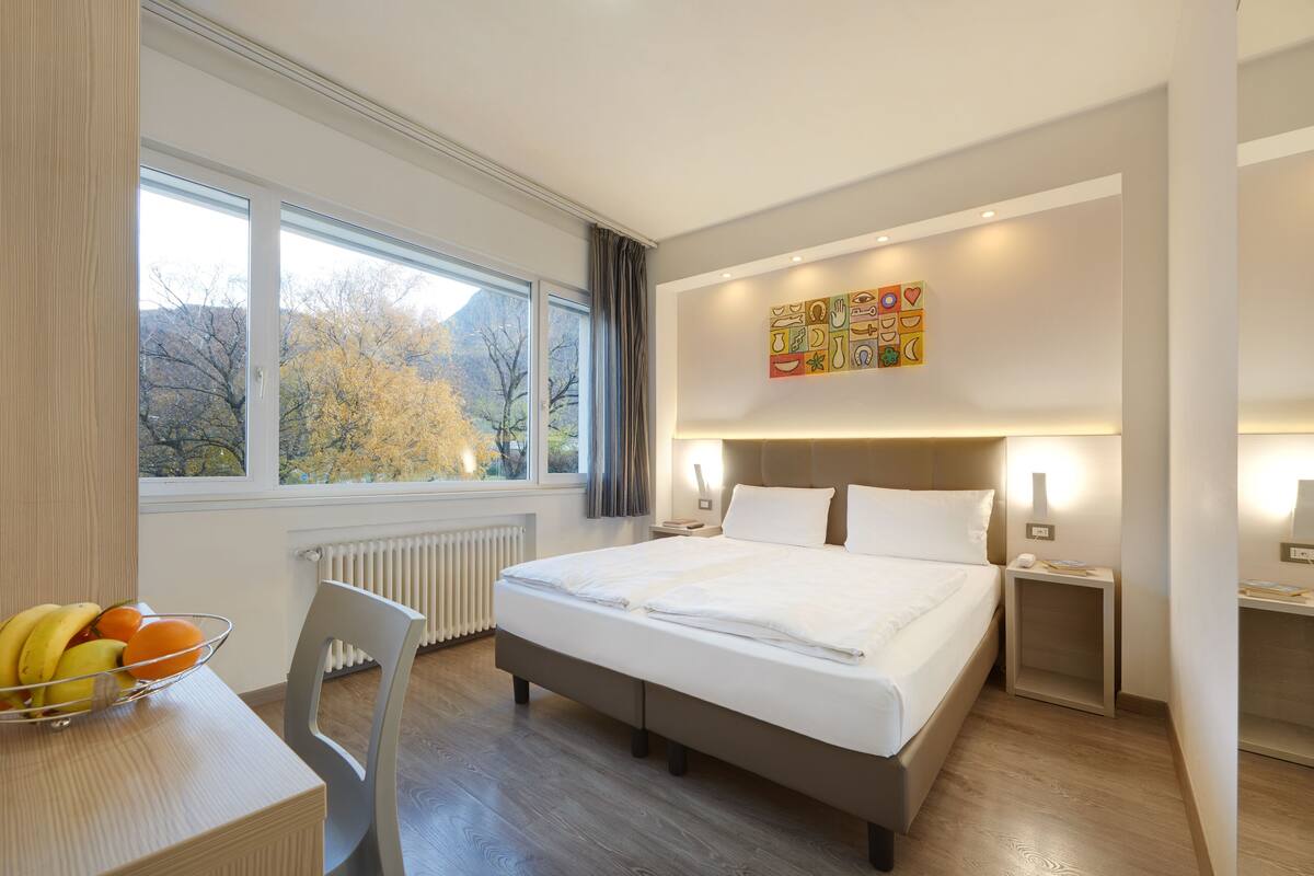 Habitación clásica con 1 cama matrimonial o 2 individuales | Escritorio, wifi gratis y ropa de cama 