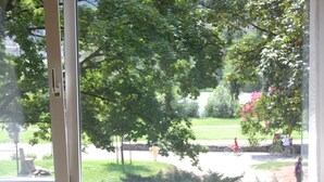 Vista a través de una ventana con puerta, mostrando un parque con árboles y un sendero.