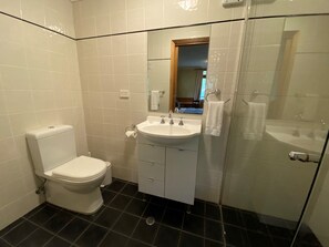 A bathroom with a toilet, sink, and mirror.