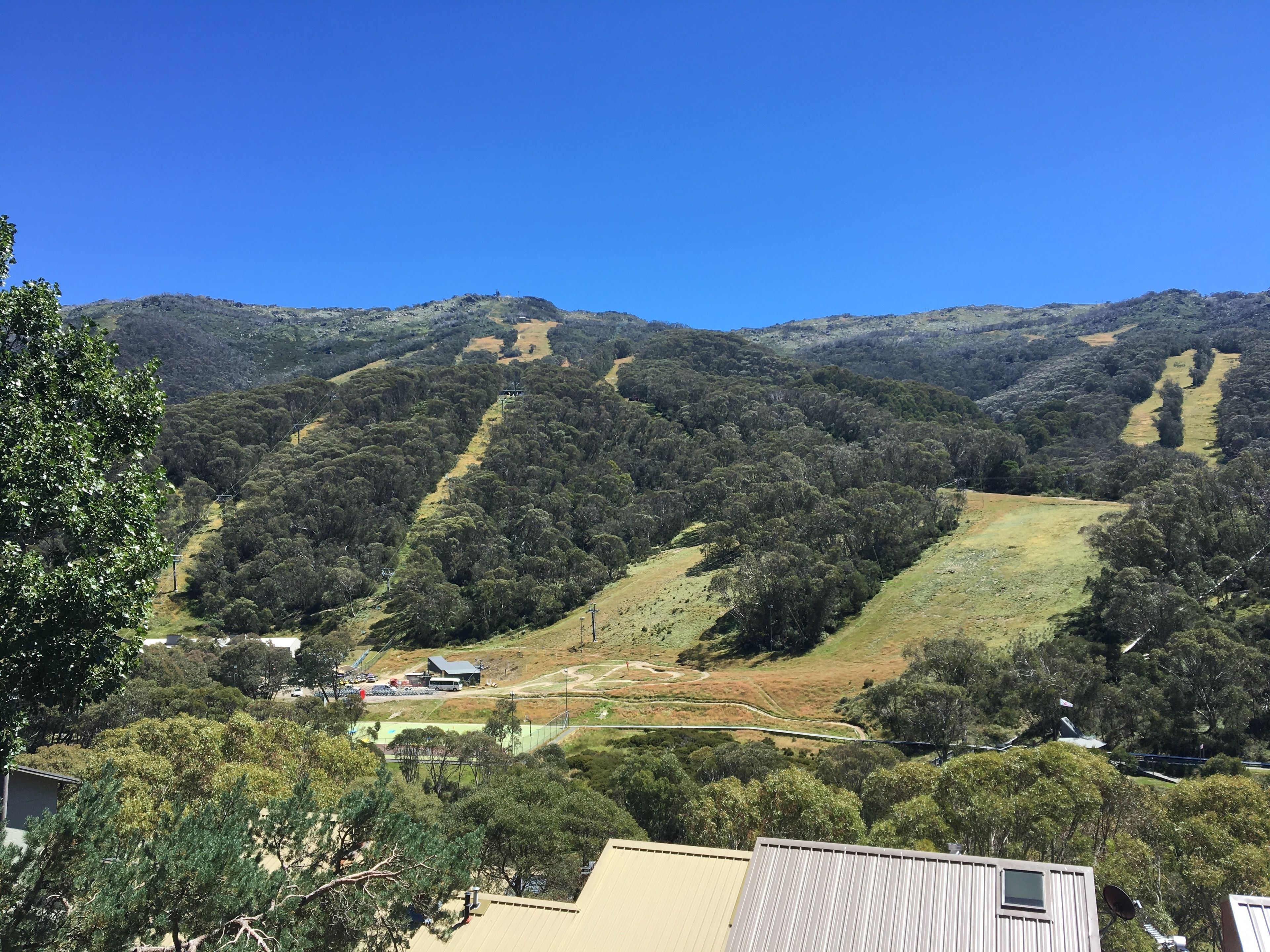 A hillside with dense forest and a clear sky.