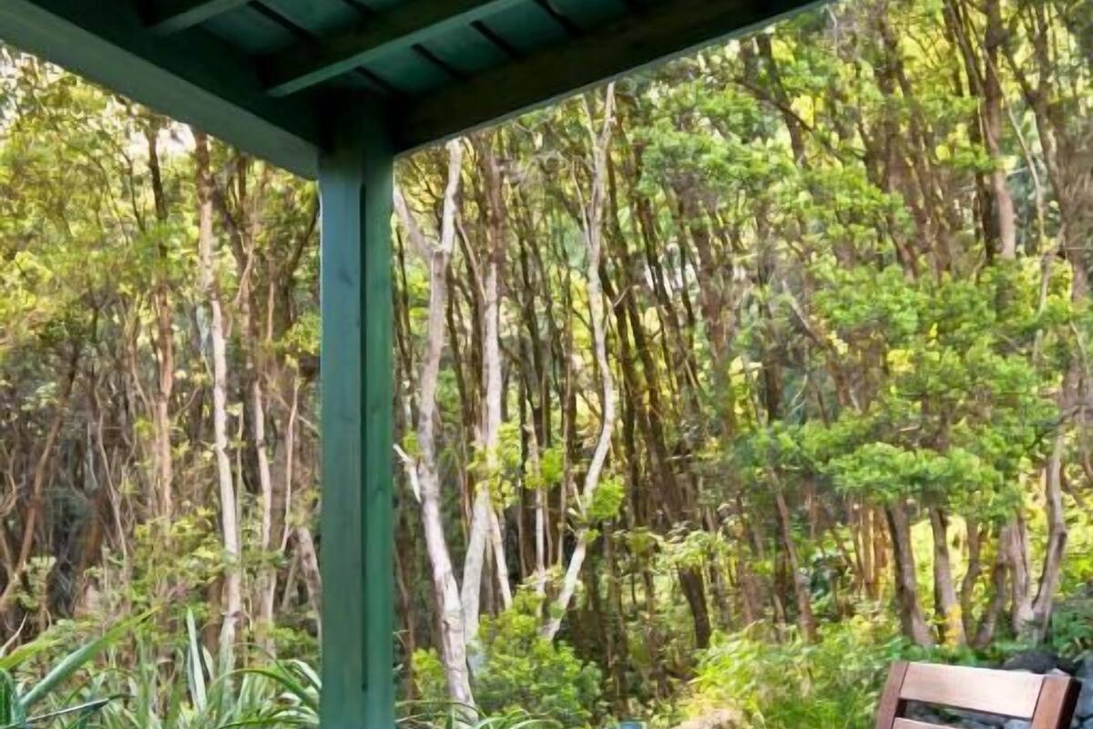 A covered outdoor seating area with a bench and a table, surrounded by lush greenery.