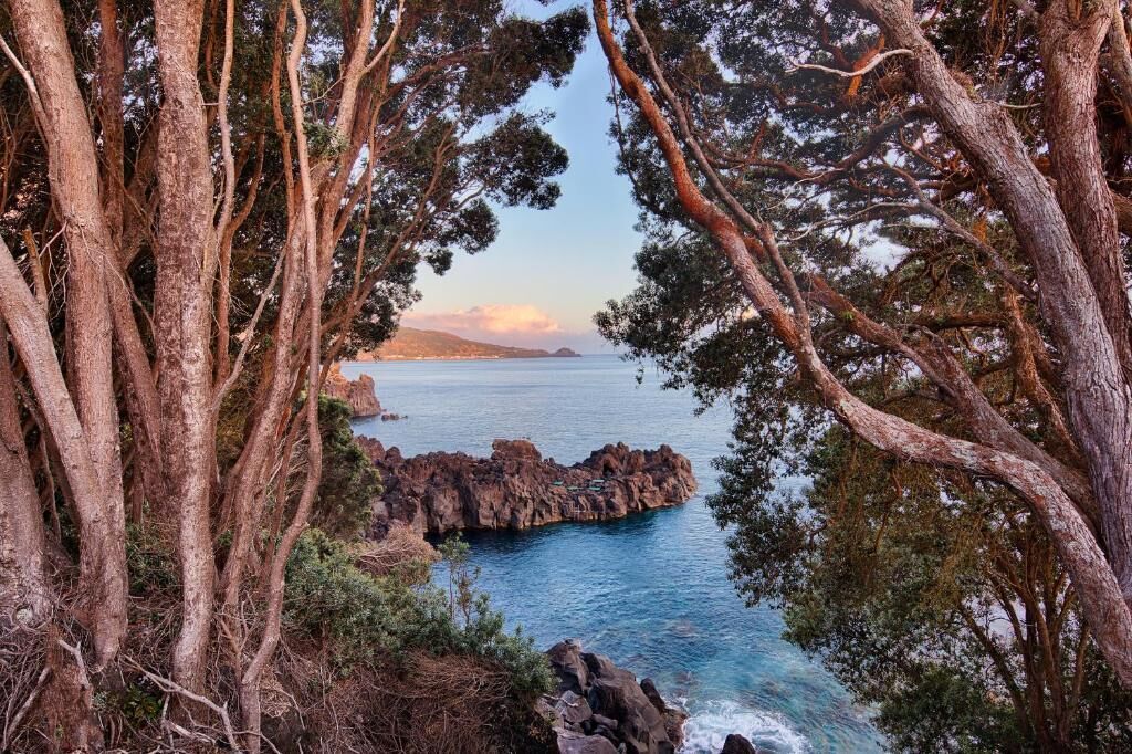 A coastal landscape with rocky outcrops, dense trees, and a clear view of the sea.