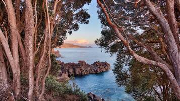 A coastal landscape with rocky outcrops, dense trees, and a clear view of the sea.