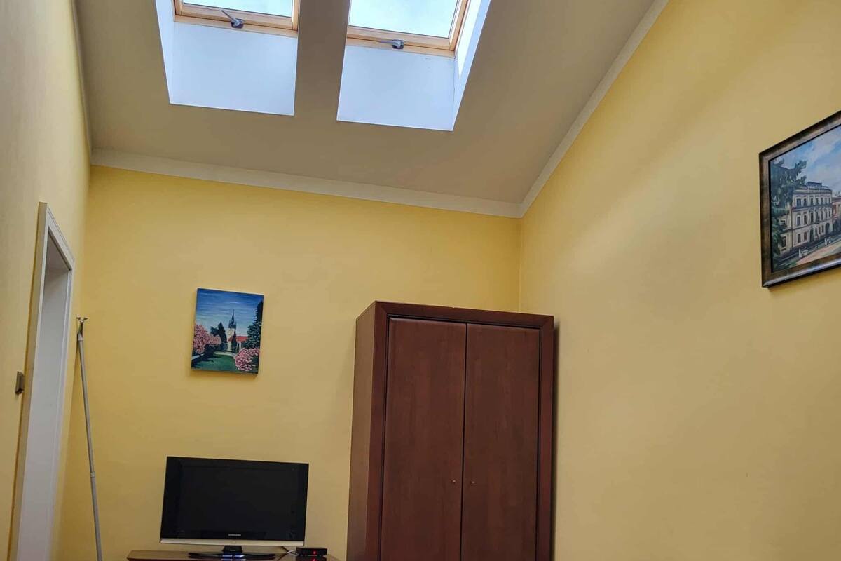 Economy Double Room Single Use | Minibar, in-room safe, desk, iron/ironing board