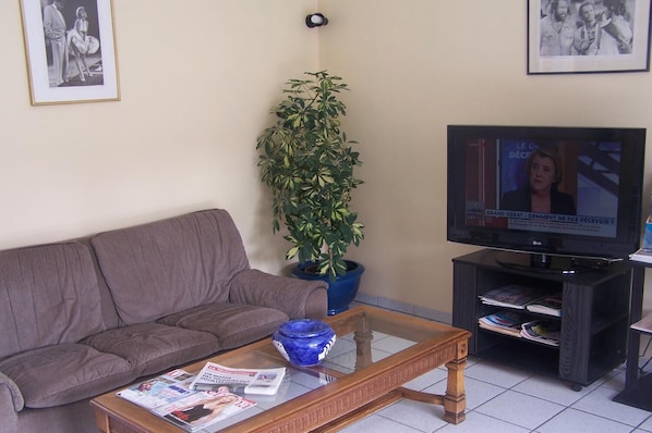 48-cm flat-screen TV with satellite channels, TV
