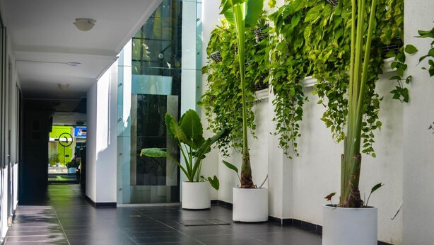 Un pasillo con plantas en macetas y una pared de cristal.