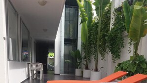 Una piscina con tumbonas, plantas en macetas y un edificio moderno al fondo.