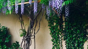 A garden with a pergola covered in wisteria vines and a bench. - Résidence Thibaud (Toulouse)
