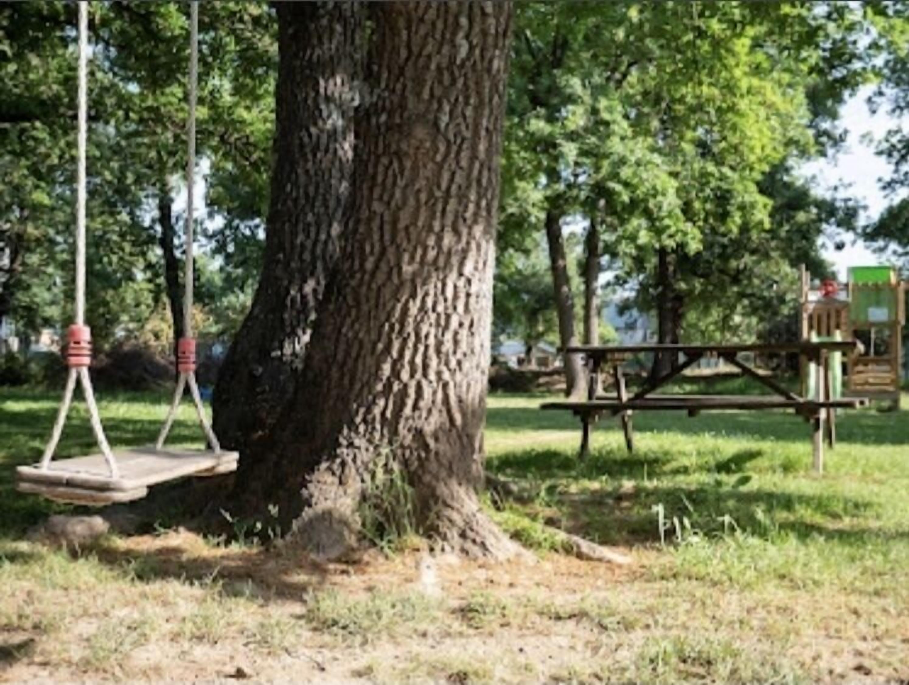 A swing set and picnic table in a park.