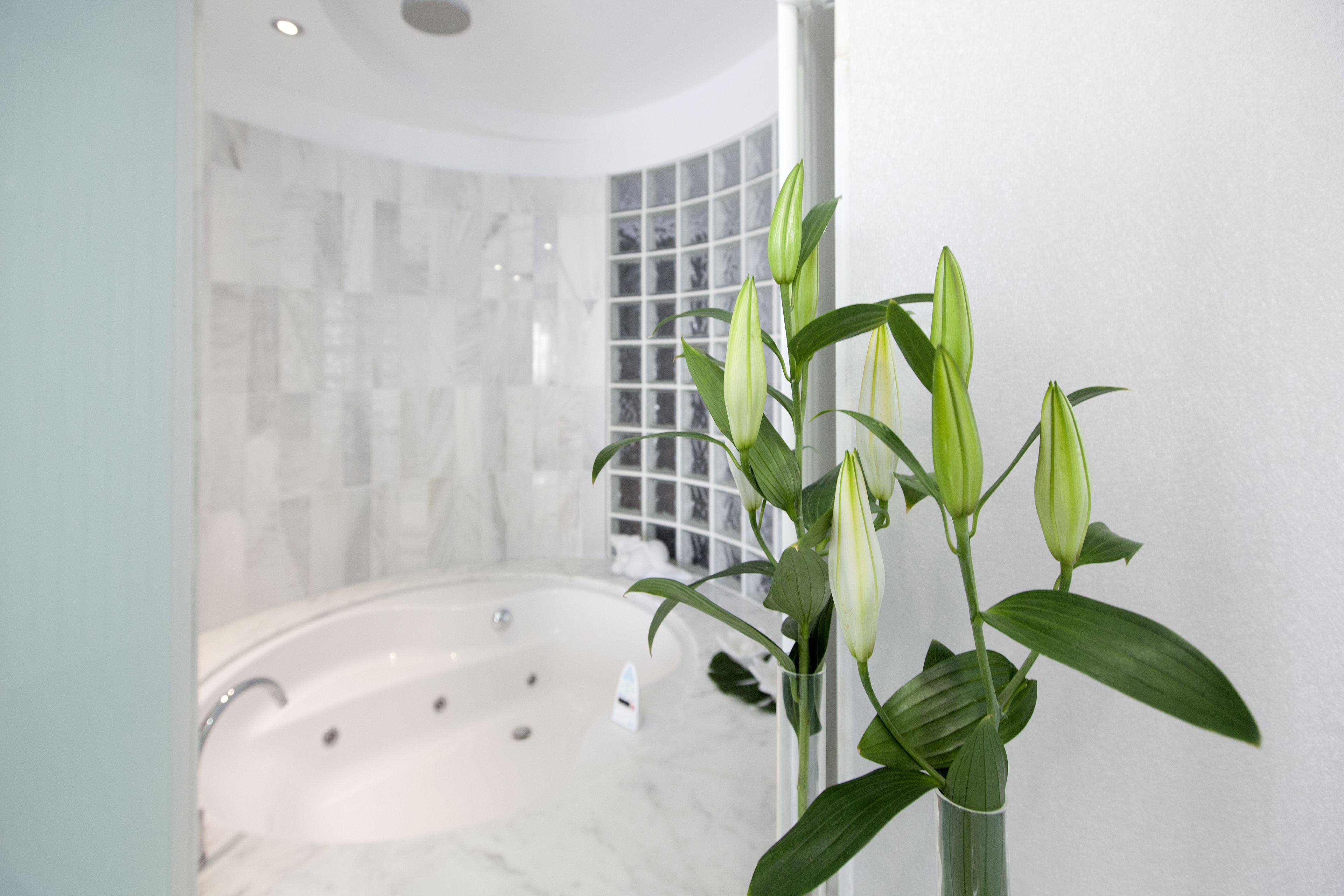 suite | 2 bedrooms, down duvets, desk, soundproofing