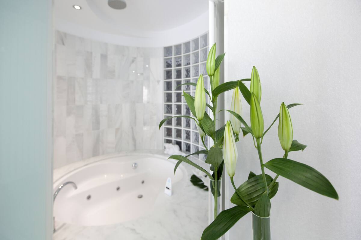 suite | 2 bedrooms, down duvets, desk, soundproofing