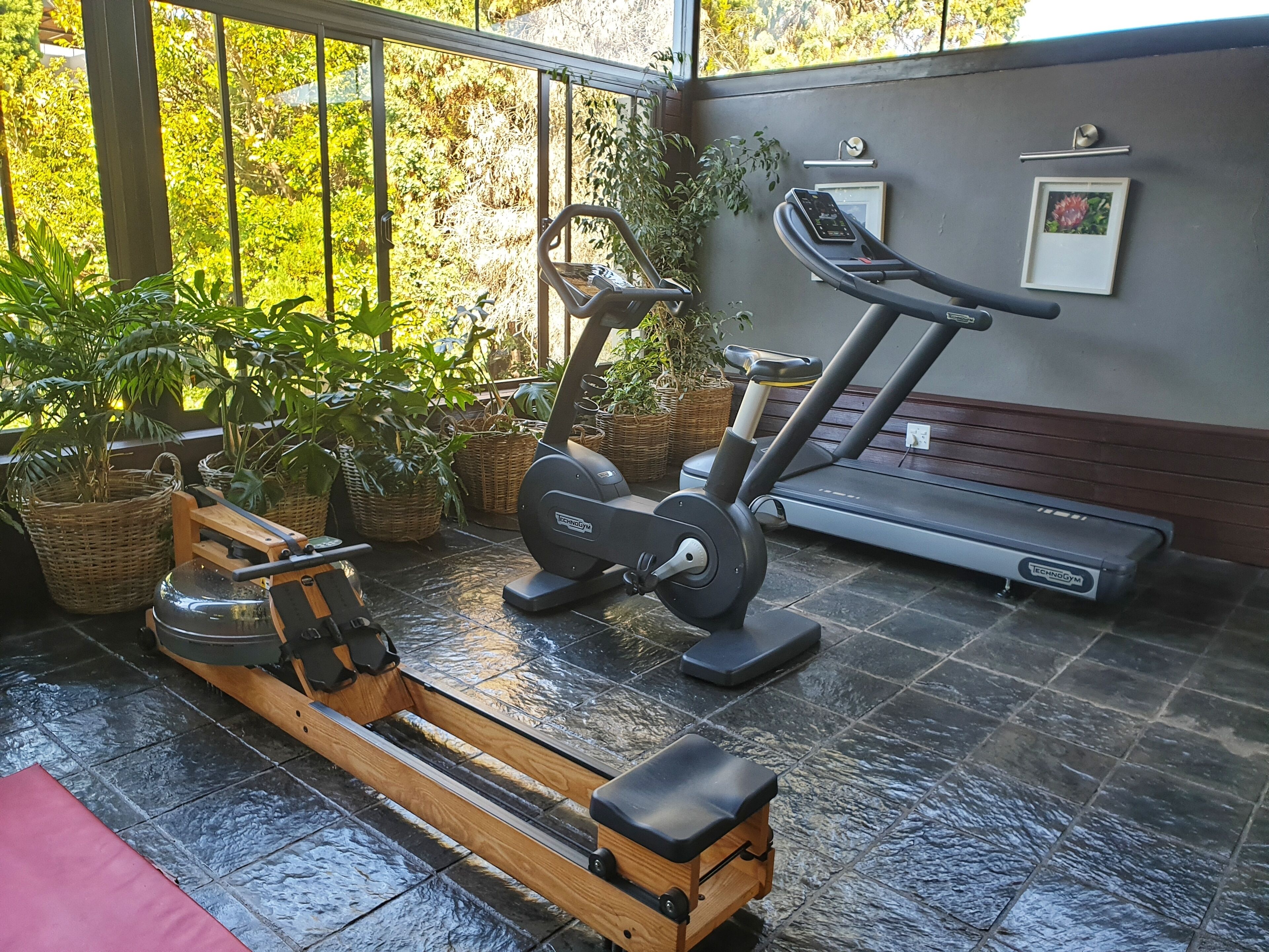 Een huisgymnasium met een loopband, een hometrainer en een roeimachine.