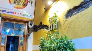 Un pasillo con pared amarilla, puerta de madera y planta colgante.