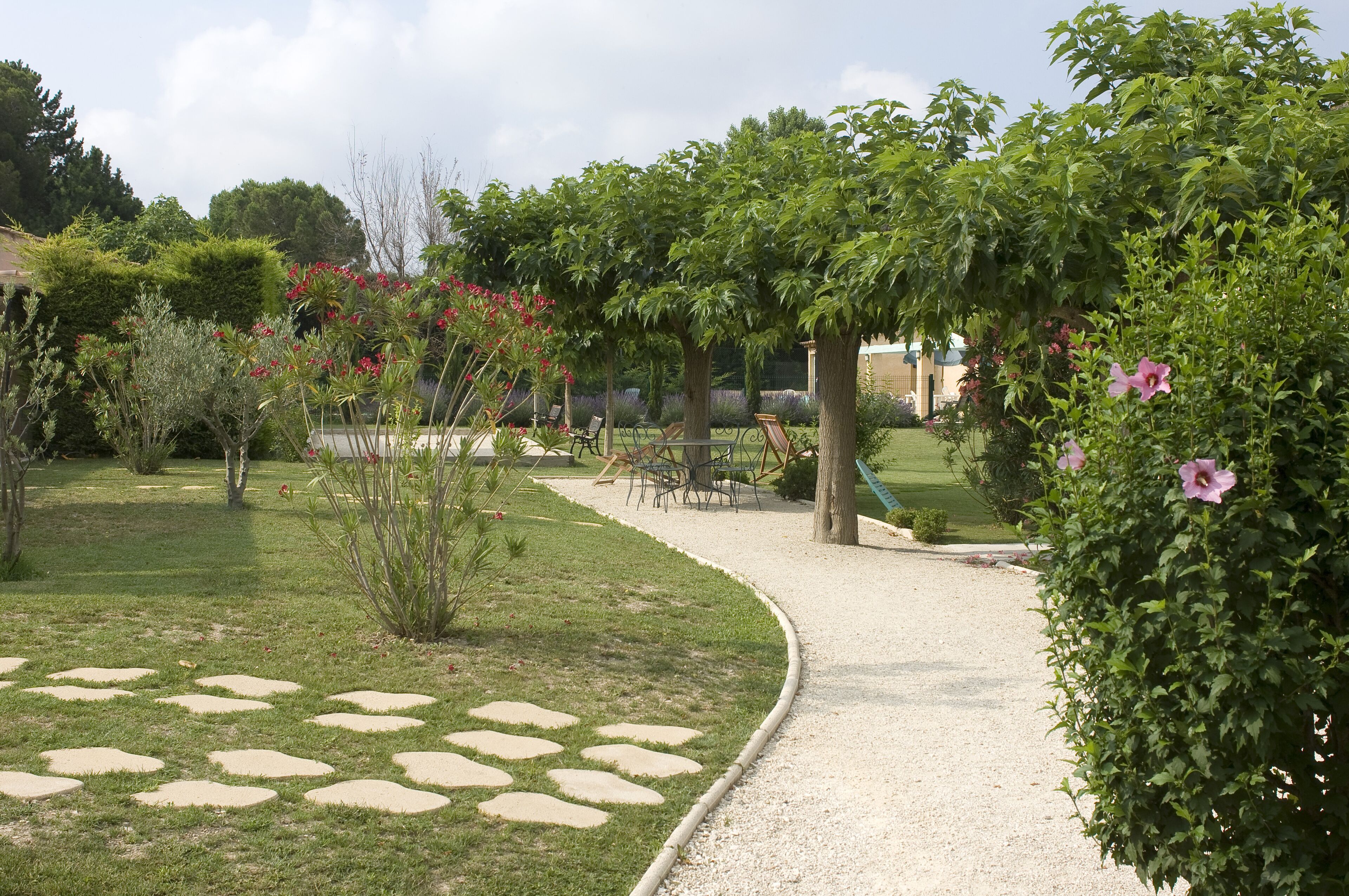 Ein Gartenpfad mit trittfesten Steinen, umgeben von verschiedenen Pflanzen und Bäumen.