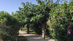 Een pad omzoomd door weelderige begroeiing en bloeiende planten, dat leidt naar een beschaduwd gebied.