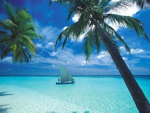 A clear turquoise sea with a sailboat, palm trees, and a clear sky. - Kaani Lodge (Malé)