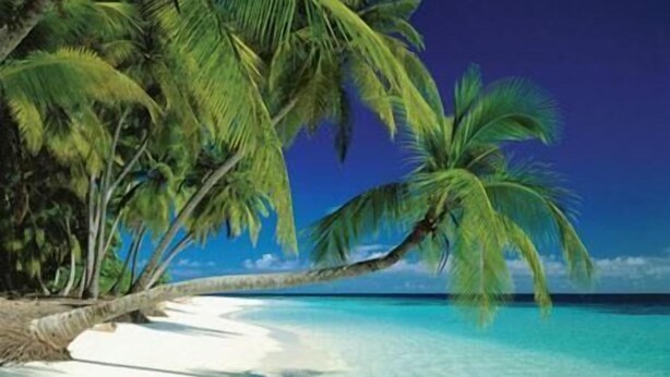 A beach with white sand and clear turquoise water. - Kaani Lodge (Malé)